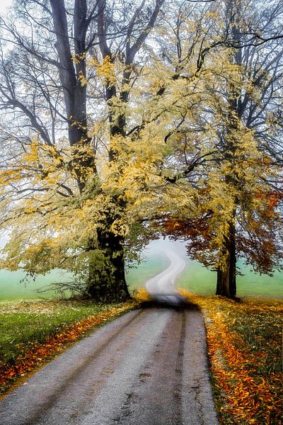 Perdu, d'une manière agréable par Lars van de Goor