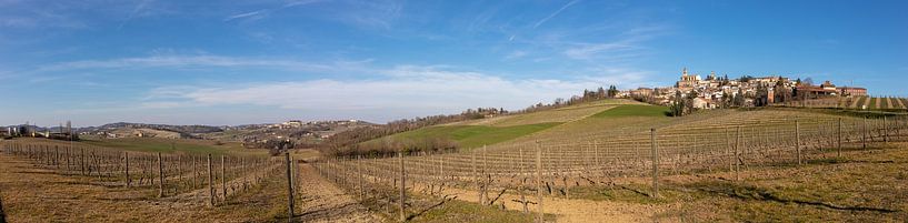 Dorf mit Reihen von Weinstöcken in den Hügeln des Piemont, Italien von Joost Adriaanse