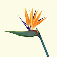 Look at me I'm beautiful - 001