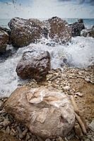 Forces of nature - on Curacao