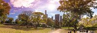 Central Park, New York - Panorama