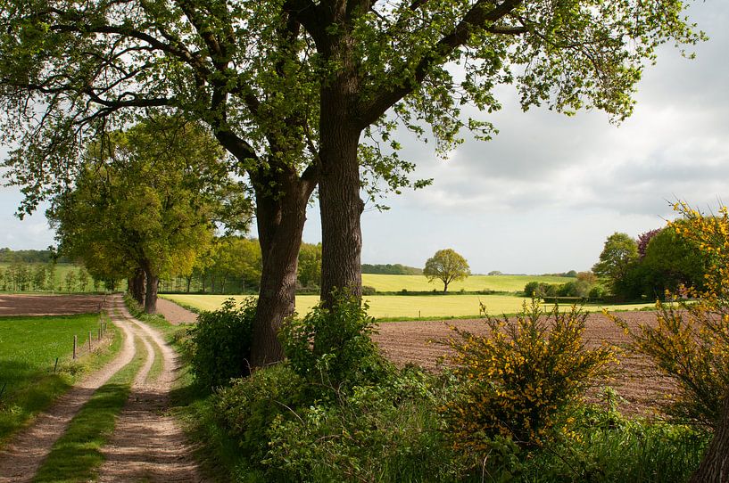 Groesbeek-Landschaft von Nancy van Verseveld