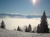 Rigi Und Nebelmeer