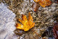 Herbststimmung in den Bergen – Farbenpracht, Ruhe und Magie der Natur