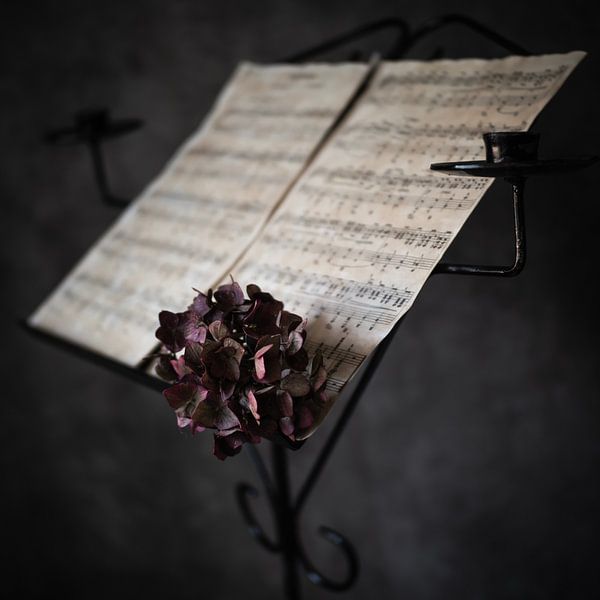 Musik von Mariette Kranenburg