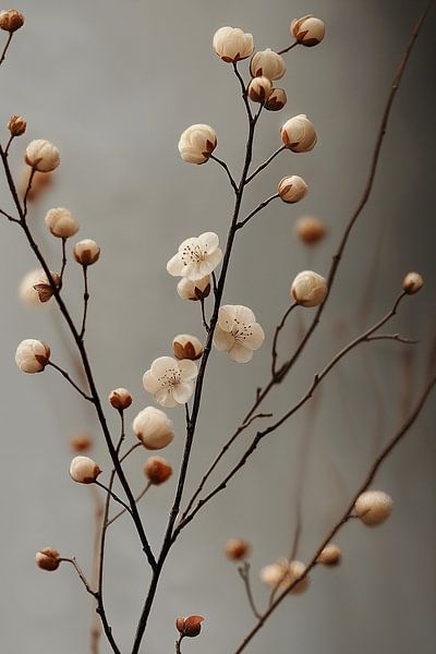 Fleurs printanières en herbe ii par Studio BB