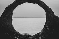 à travers le trou rouillé d'une épave