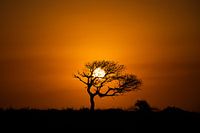 Sunset Kruger Park South Africa