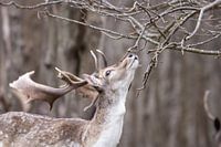 Do I smell summer there?