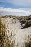 Dunes in the Netherlands
