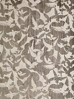 Tauben - beige und braun