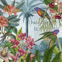 Stories from Paradise