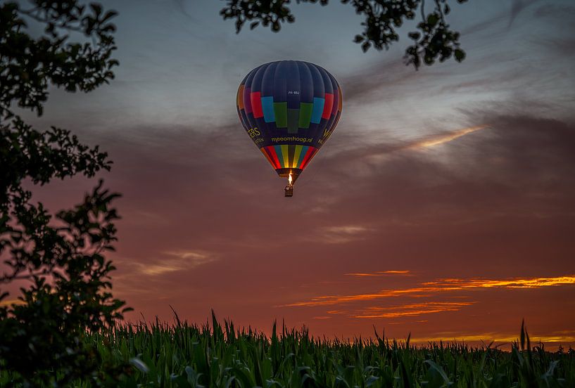 summer evening flight by Verliefd op Utrecht