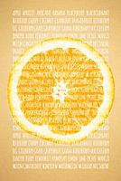 Früchte in der Farbe Orange