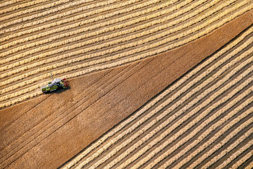Luftaufnahme eines Landwirts bei der Getreideernte in Donderen in Drenthe von Frans Lemmens