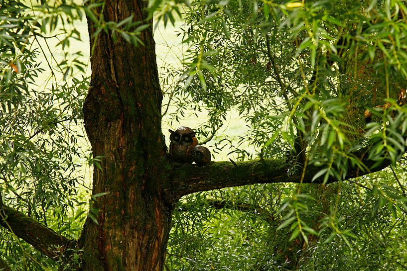 Uil van Ingrid Hendriks