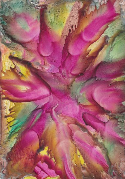 Pink explosion by Bethina de Reus