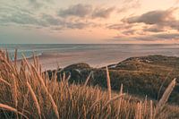 Kroonpolders Terschelling