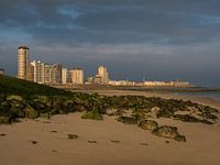 On the edge of land and water....