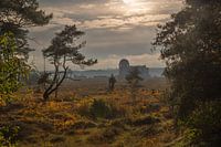Durchblick zu Radio Kootwijk