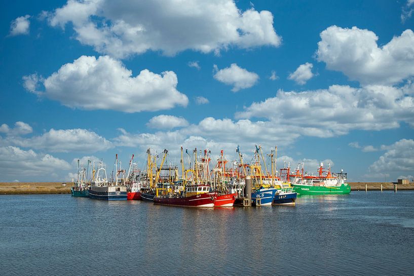 Fishing vessels in the port of Lauwersoog by Gert Hilbink