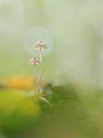 Gemeinsam sind wir stark