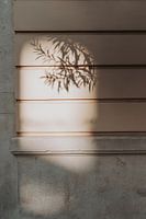 Photographie de voyage | Italie, Puglia | Bari | ombre sur le mur | pastel