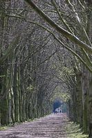 Beukenlaan kasteel Neubourg