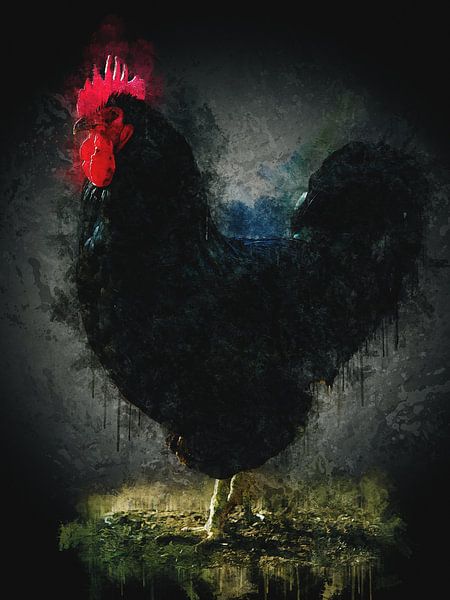 Black Rooster by Western Exposure