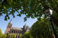 St. John's Cathedral 's-Hertogenbosch
