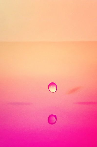 Buntes Leben II von Peter en Hetty van Veen