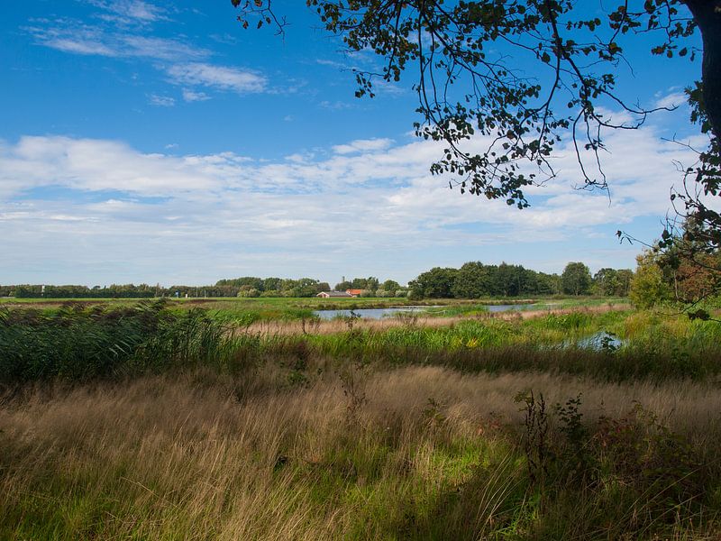Ackerdijkse Plassen by Rinke Velds