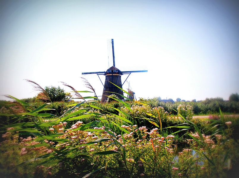 Noisent reed 2 by Ineke de Rijk