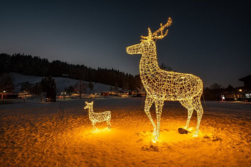 La magie de l'hiver dans le parc d'Oberstaufen par Leo Schindzielorz