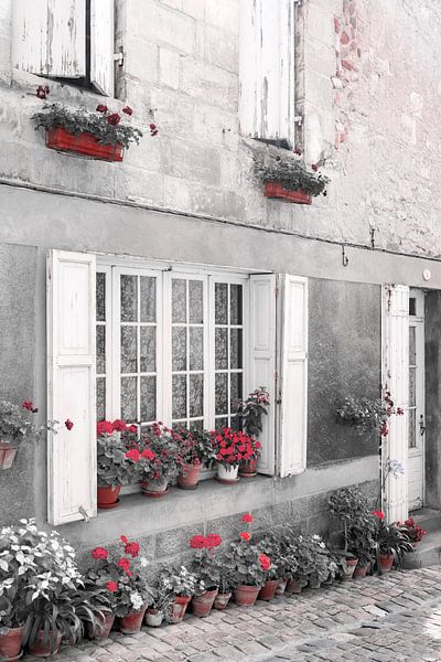 Street scene with flowerpots, flowers and shutters in France by Evelien Oerlemans
