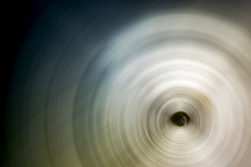 Konzentrische Kreise von Günter Albers