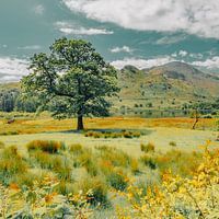 Buttermere, Lake District England.