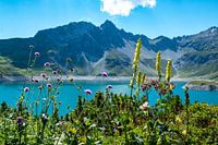 La paix dans les montagnes