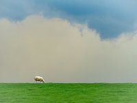 when you are alone in the world