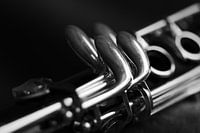 Detail Klarinette (2)