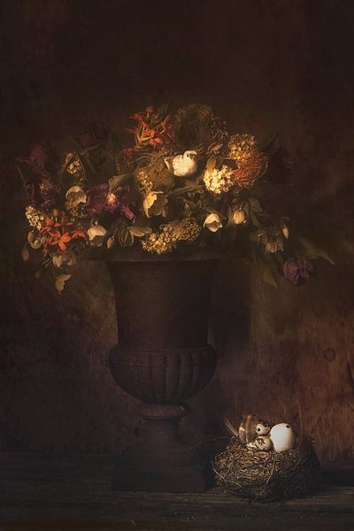 Flower Bomb by Saskia Dingemans Awarded Photographer