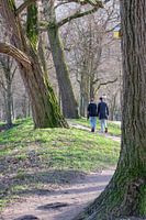 Pendelweg Catherijnesingel Utrecht