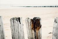 Rij palen met paalhoofd op achtergrond