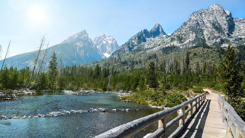 Houten brug in Grand Teton National Park Wyoming von Dimitri Verkuijl