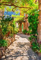 Mediterranean garden with way to stone house