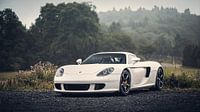 Porsche Carrera GT in the early morning