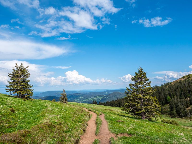 Vue du Feldberg dans la Forêt-Noire par Animaflora PicsStock