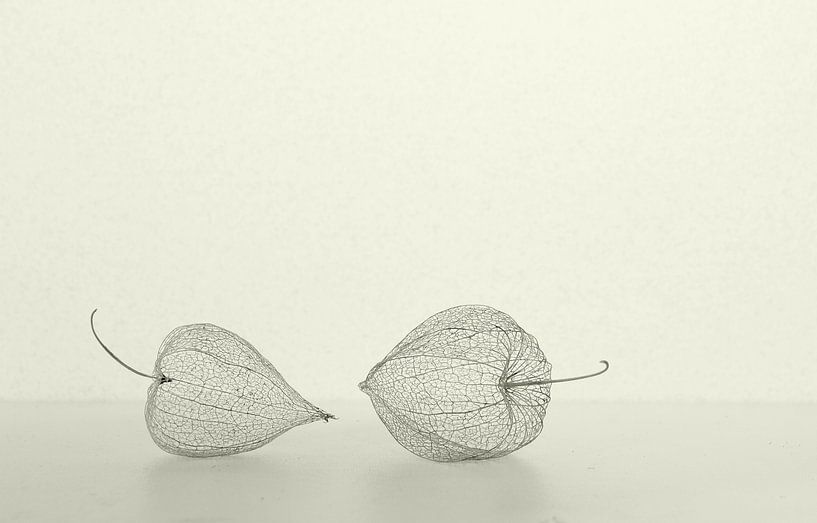 Still life with lanterns by Corinne Welp