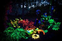 Schwarzlicht-Kunstwerk während des Mandala-Festivals