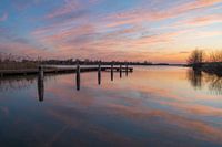 Schilfpfütze, Emmen